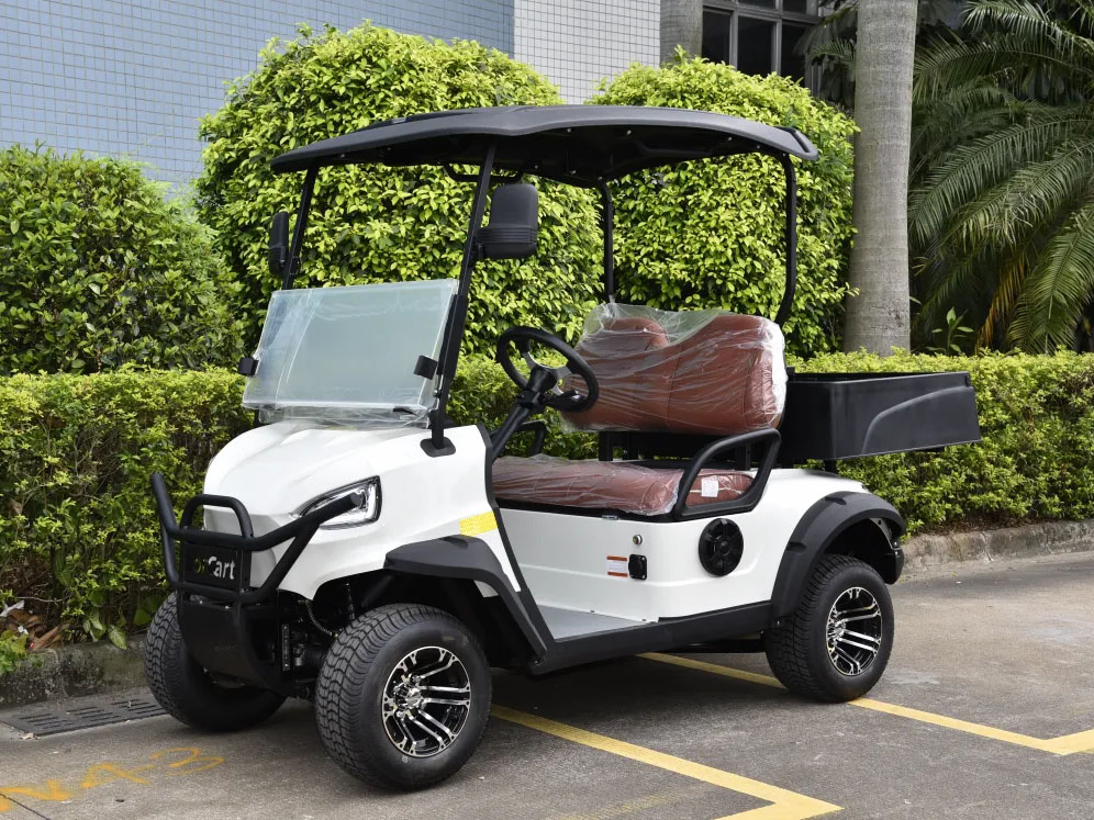 2 Koltuk Mini Kamyon Yardımcı Elektrikli Golf Arabası