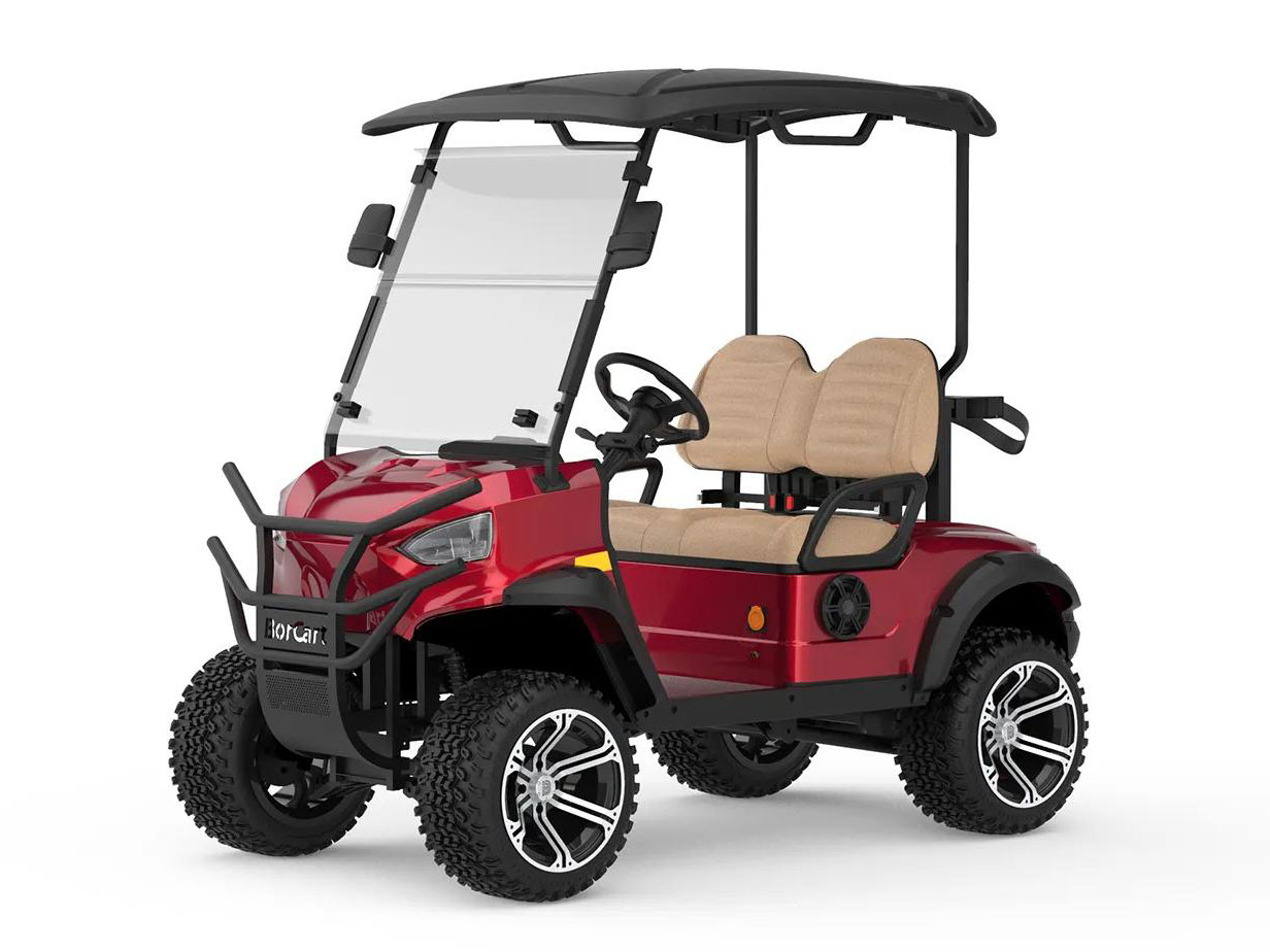 2 Koltuk Mini Elektrikli Golf Arabası