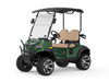 2 Koltuk Mini Elektrikli Golf Arabası