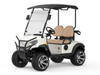 2 Koltuk Mini Elektrikli Golf Arabası