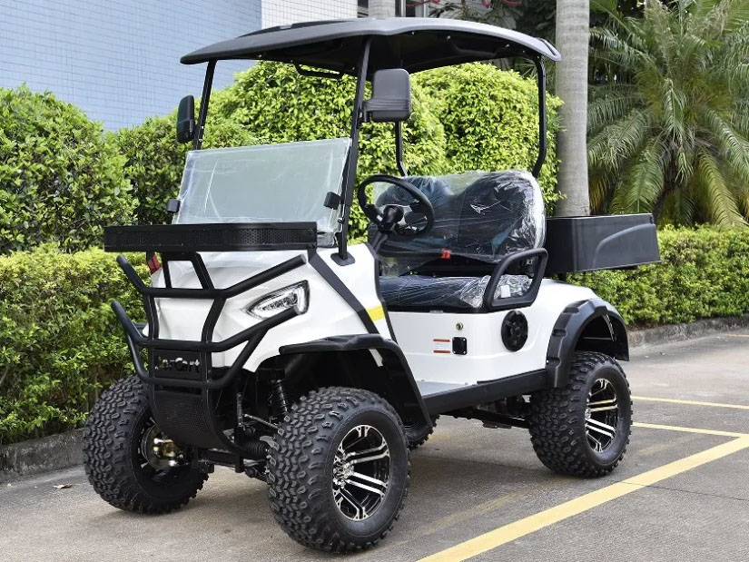2 Koltuk Mini Yardımcı Elektrikli Golf Arabası