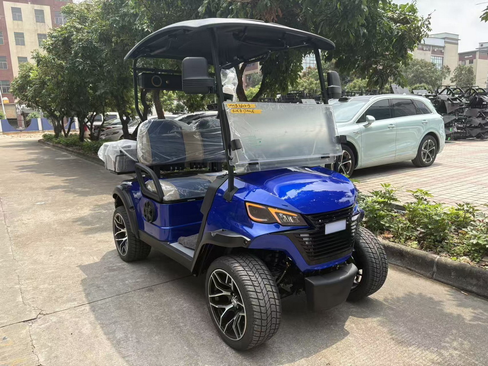 5KW Motor 2-zits golfkar (2).jpg