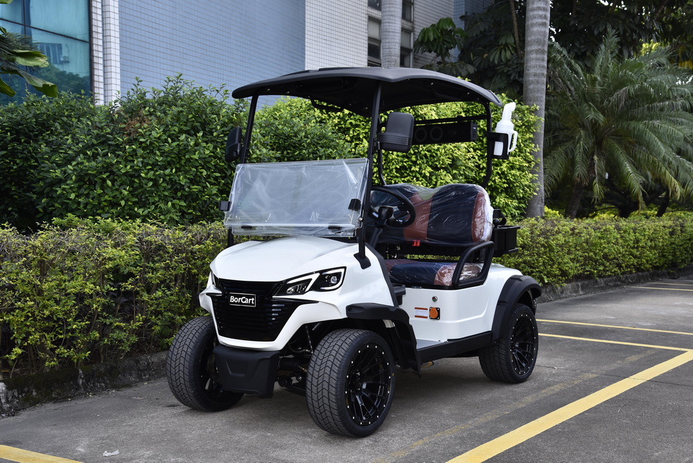 Kereta Golf 5KW Motor 2 Tempat duduk (3).jpg