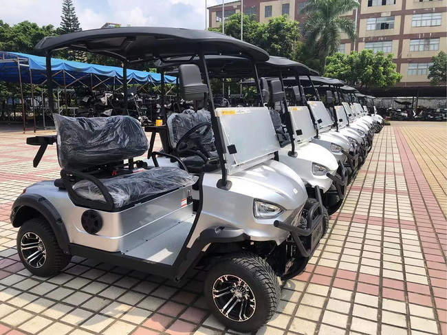 2 Passager Mini Golf Car.jpg