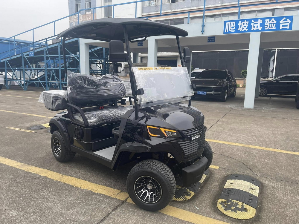5KW motor 2-s&aelig;ders golfvogn (5).jpg